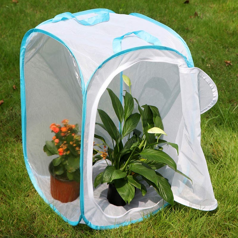 RESTCLOUD 36" Large Monarch Butterfly Habitat, Giant Collapsible Insect Mesh Cage Terrarium Pop-up 24 x 24 x 36 Inches - Image 4